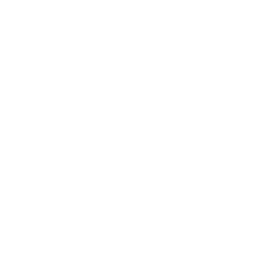 Polski Fotograf Londyn